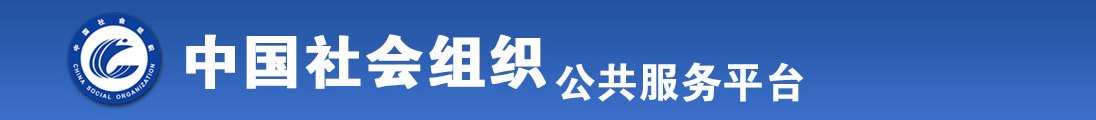 jj抽插白虎bb高清全国社会组织信息查询